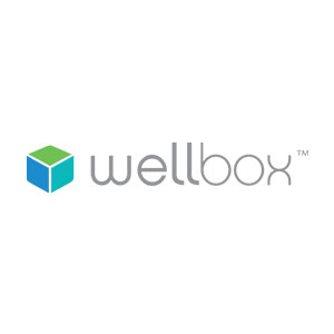 Wellbox logo with a blue and green box to the left